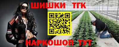 прущие грибы Ирбит