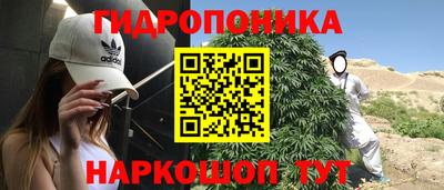 тгк Заводоуковск